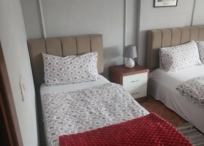 Apartment Rudi 2 In Tirana